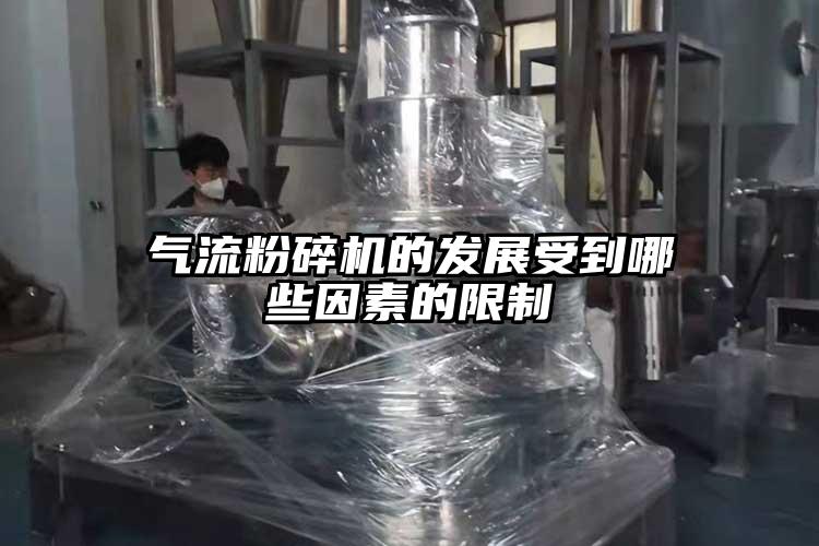 好色先生污版下载的发展受到哪些因素的限制