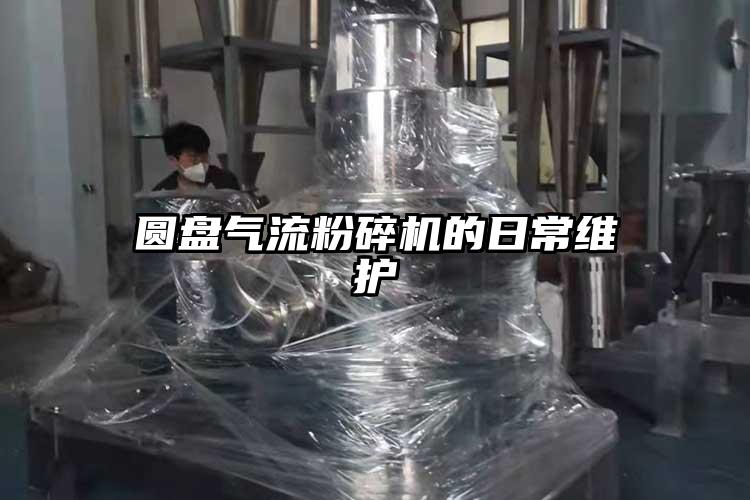 圆盘好色先生污版下载的日常维护