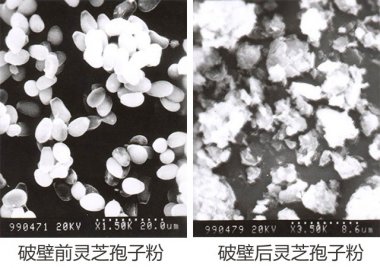 操作简便等好色先生污版下载众多优点